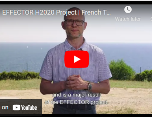 EFFECTOR Findings and Results Video | Available on YouTube